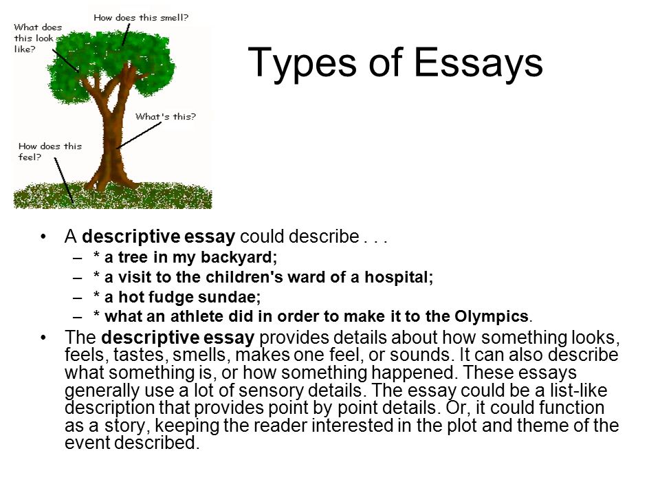two types of descriptive essays for incidents